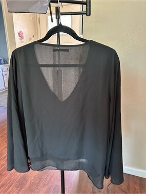 Zara Black V-Neck Long Sleeve Sheer Blouse